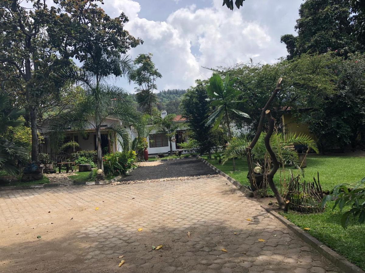 Kivu Beach Garden Gisenyi Eksteriør billede